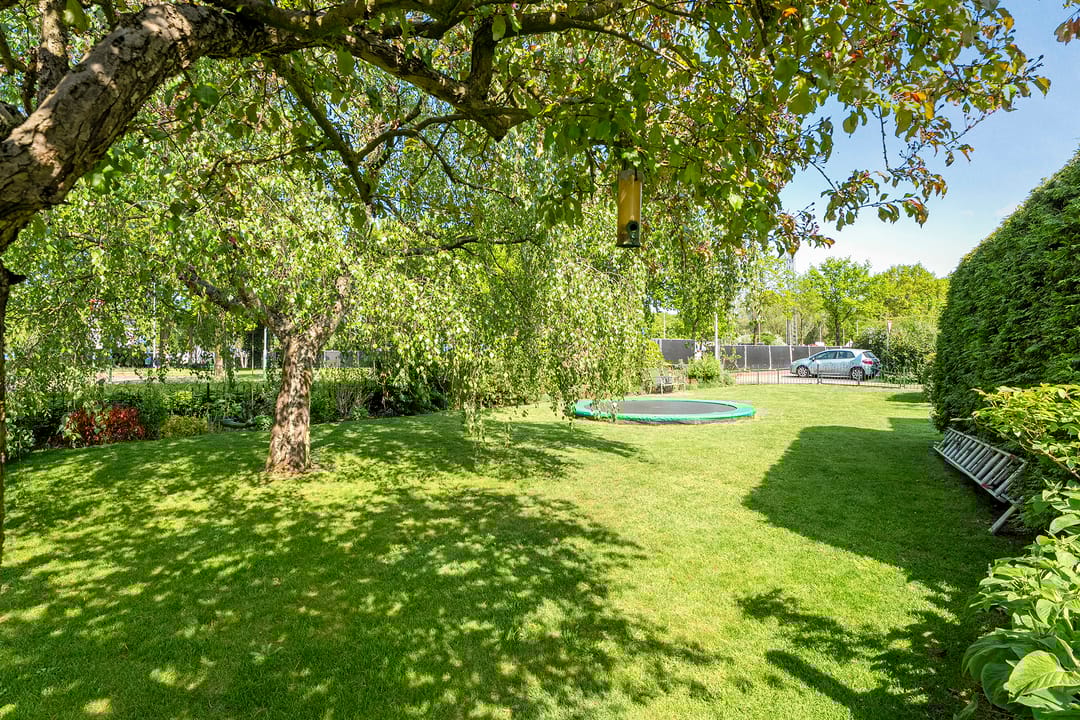 Foto 43 van Grasdorpstraat 1