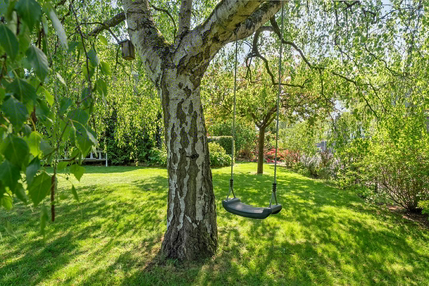 Foto 44 van Grasdorpstraat 1