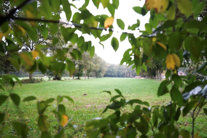 Photo 6 of Domeinenweg 4