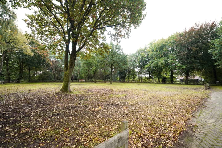 Photo 14 of Domeinenweg 4