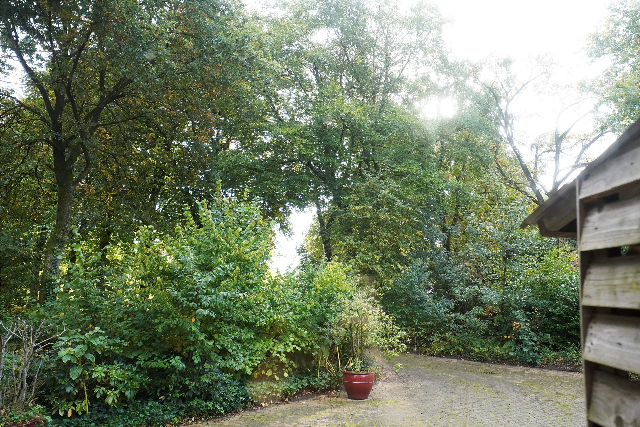 Photo 27 of Domeinenweg 4