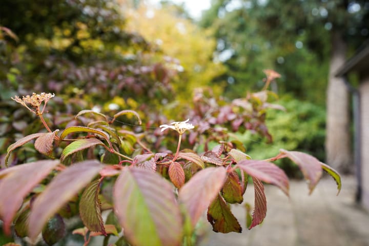 Photo 64 of Domeinenweg 4