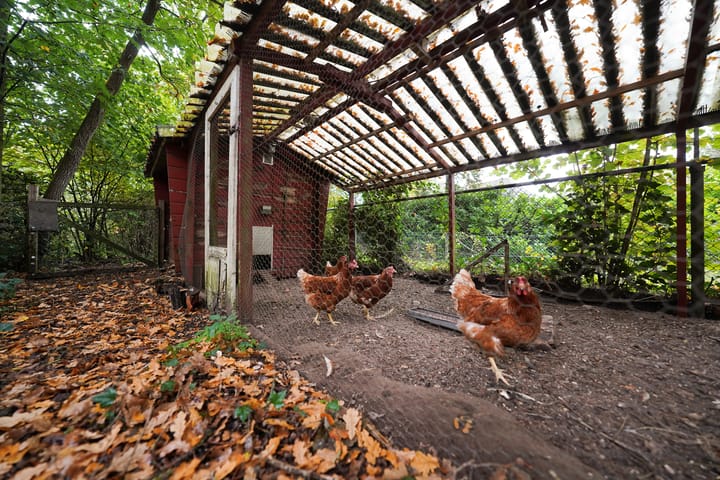 Photo 72 of Domeinenweg 4