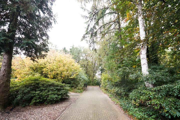 Photo 75 of Domeinenweg 4