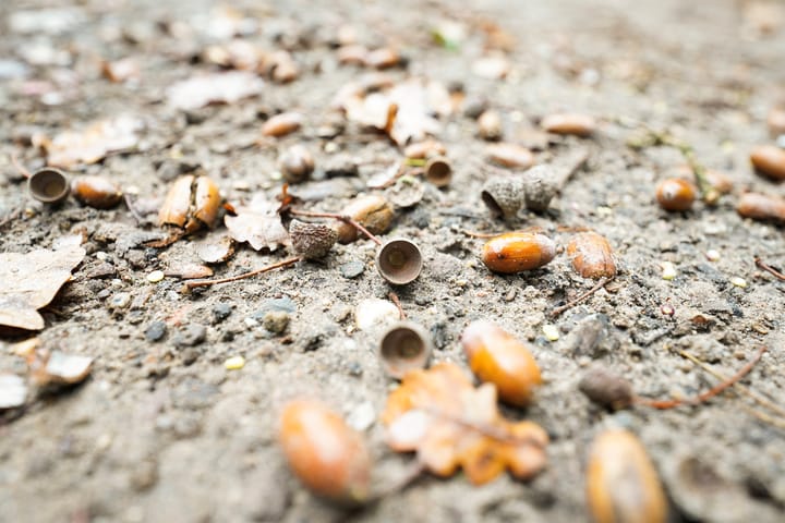 Photo 77 of Domeinenweg 4