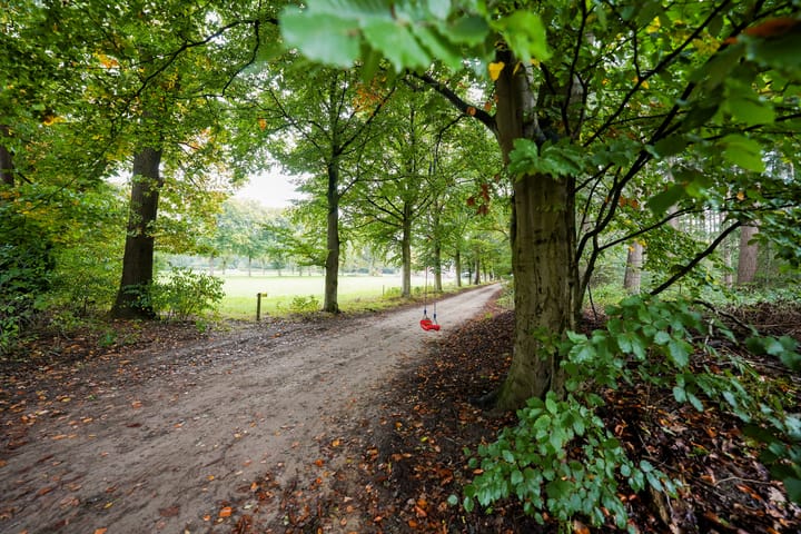 Photo 78 of Domeinenweg 4