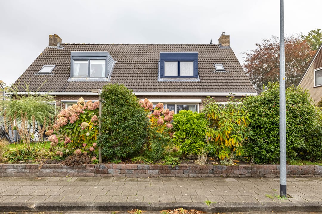 Photo 7 of Baggelaar 7