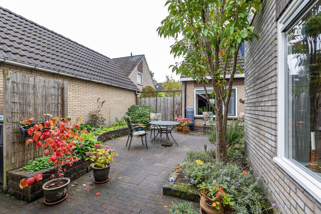 Photo 46 of Baggelaar 7