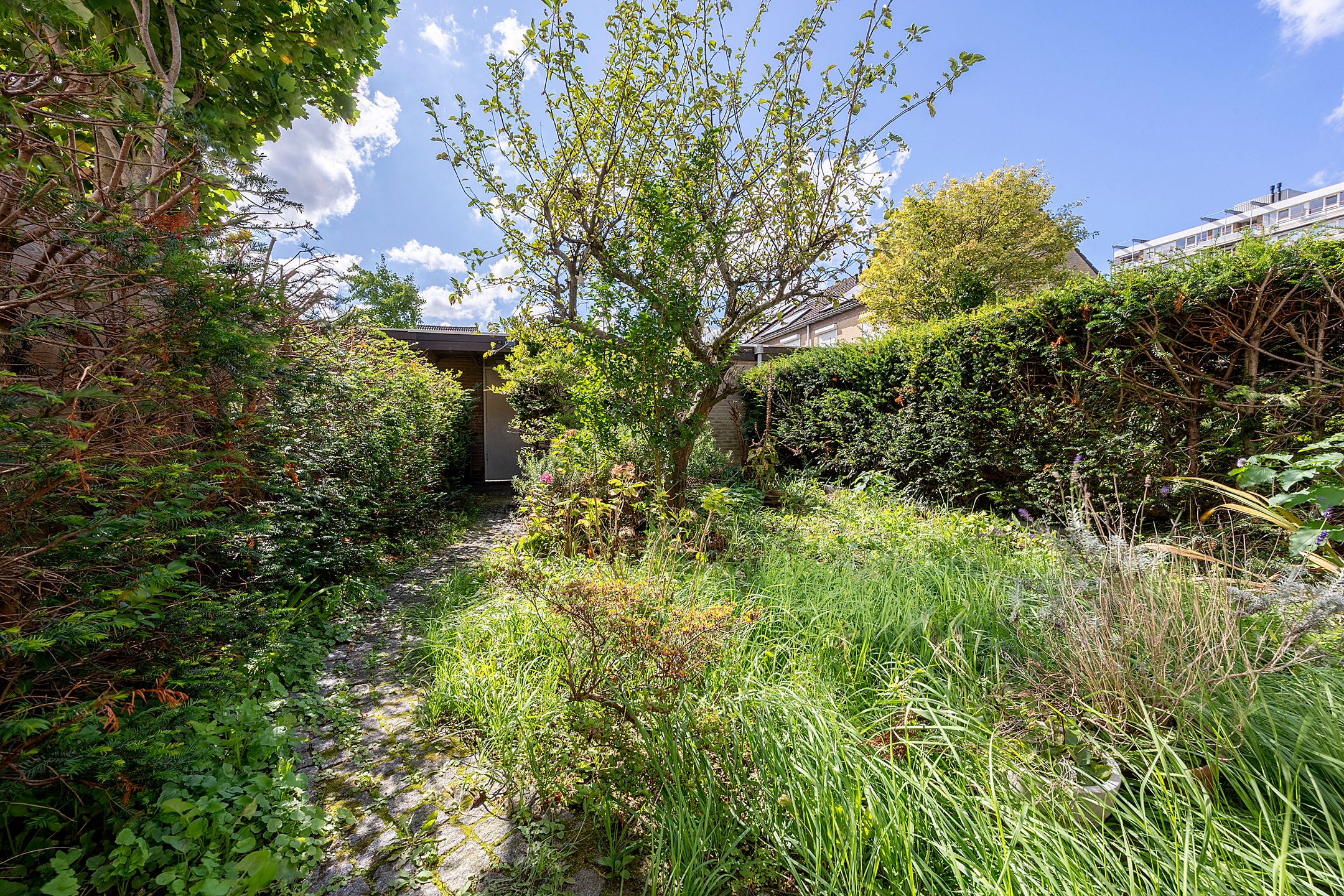 Foto 36 van Laan der Nederlanden 184