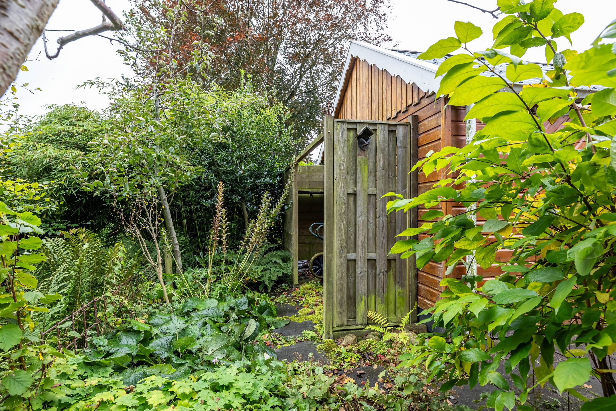 Photo 51 of Baggelaar 7