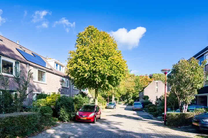 Foto 54 van Arabellaplantsoen 29