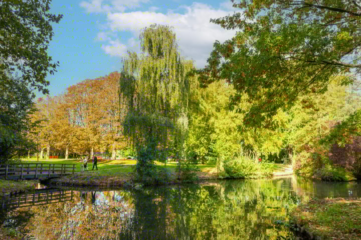 Foto 56 van Arabellaplantsoen 29