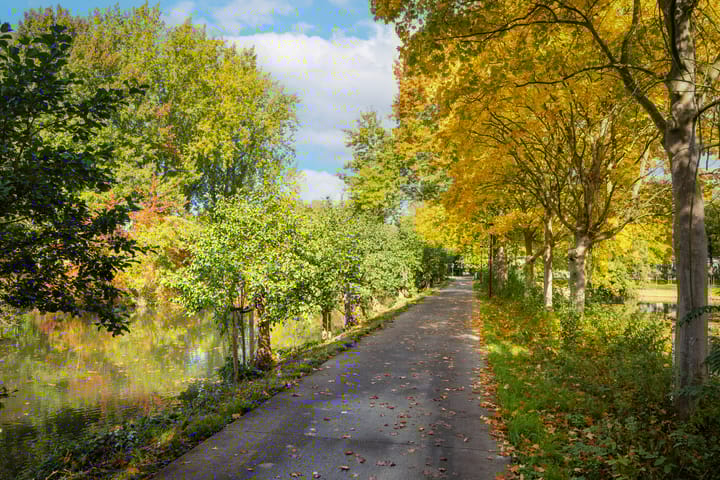 Foto 57 van Arabellaplantsoen 29