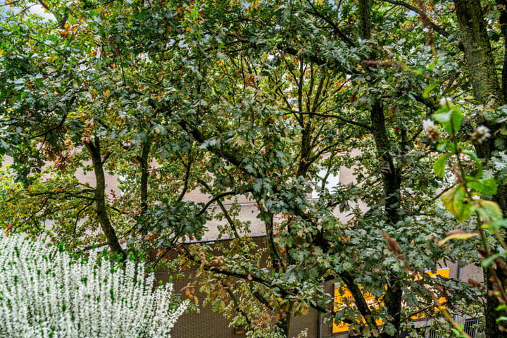 Foto 19 van Bankstede 30