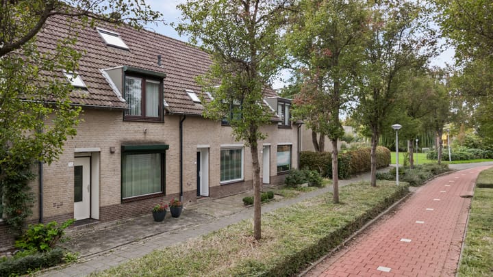 Photo 36 of Van Pallandtvliet 10