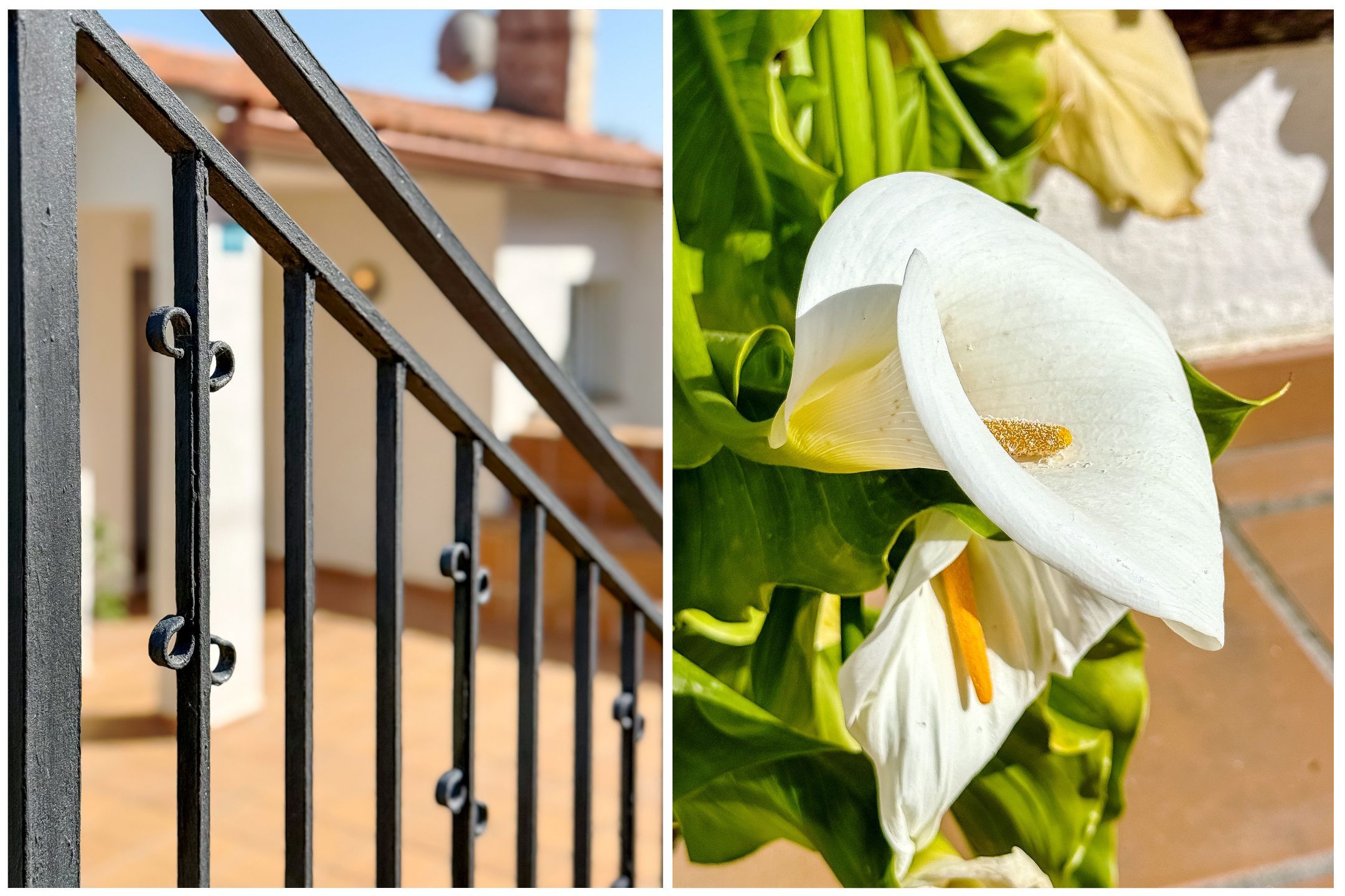 Foto 63 van Avinguda dels Arbres 13