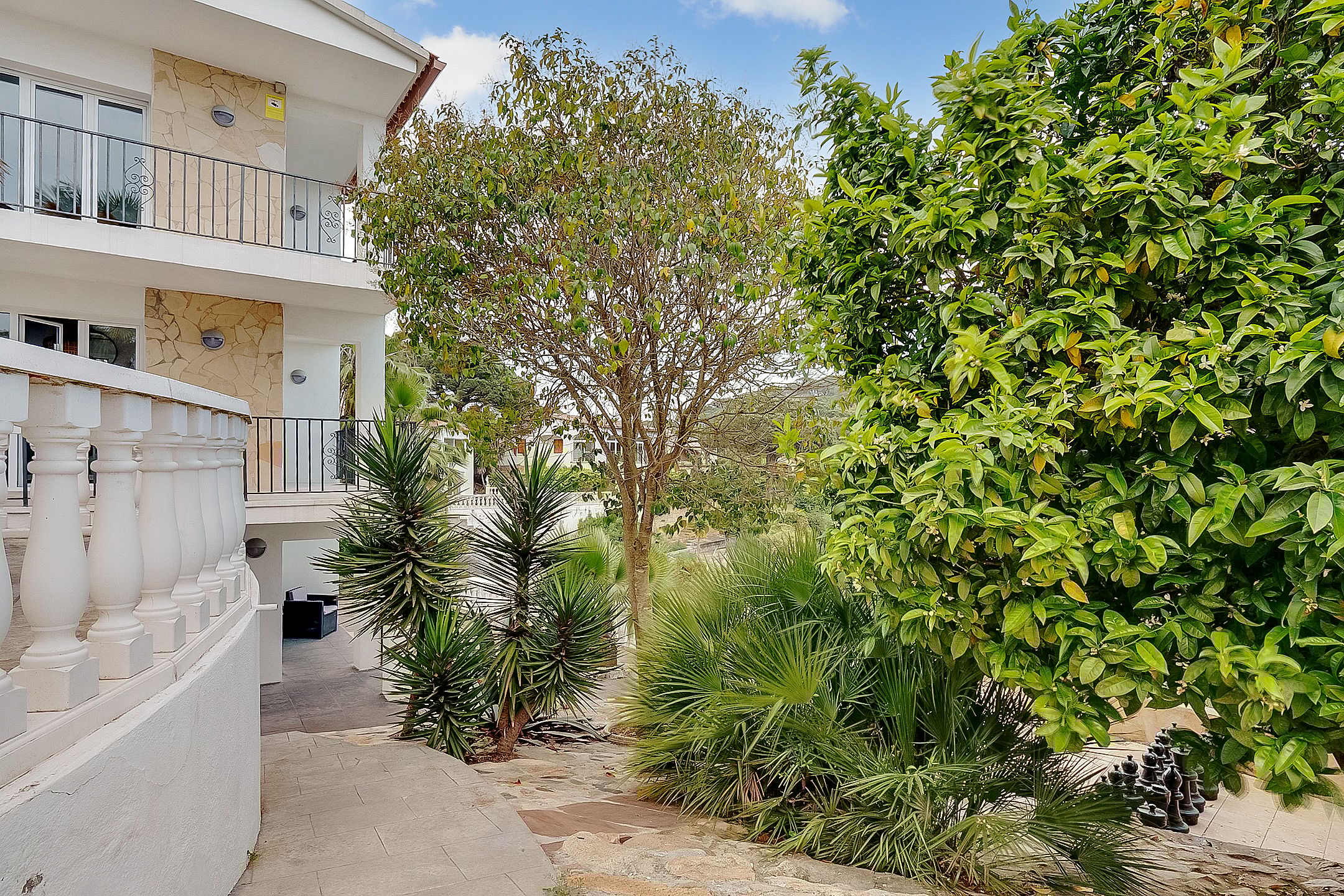 Foto 87 van Avinguda dels Arbres 13