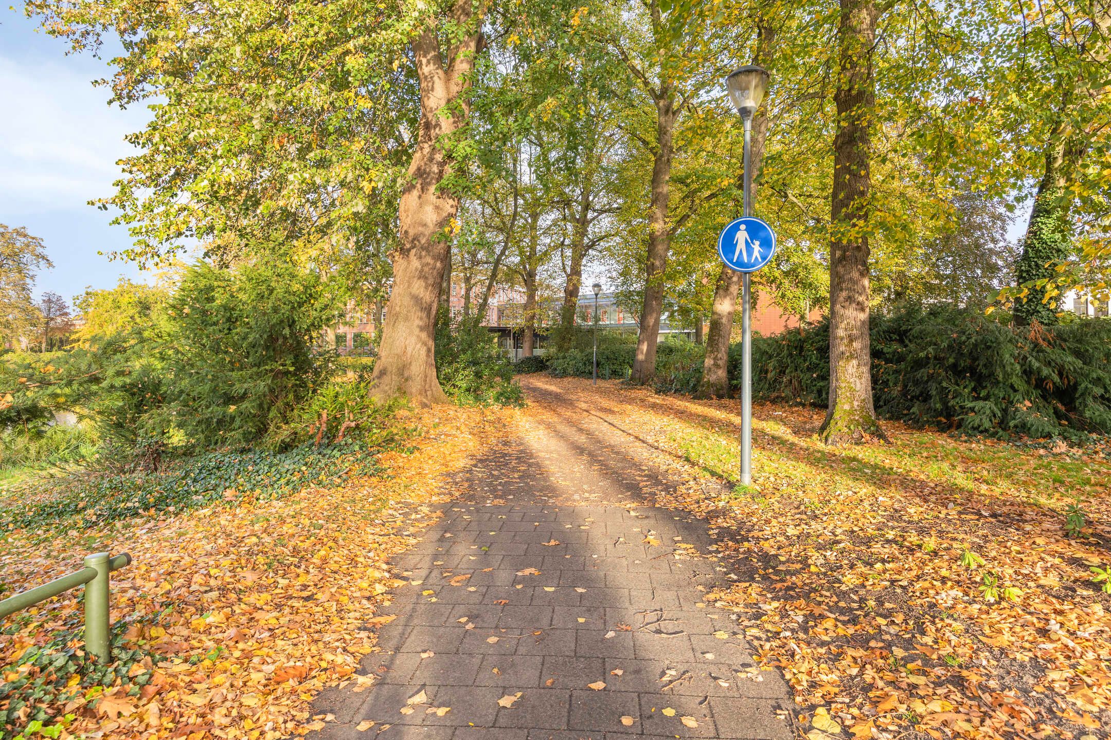 Photo 36 of Zonnebloemstraat 4