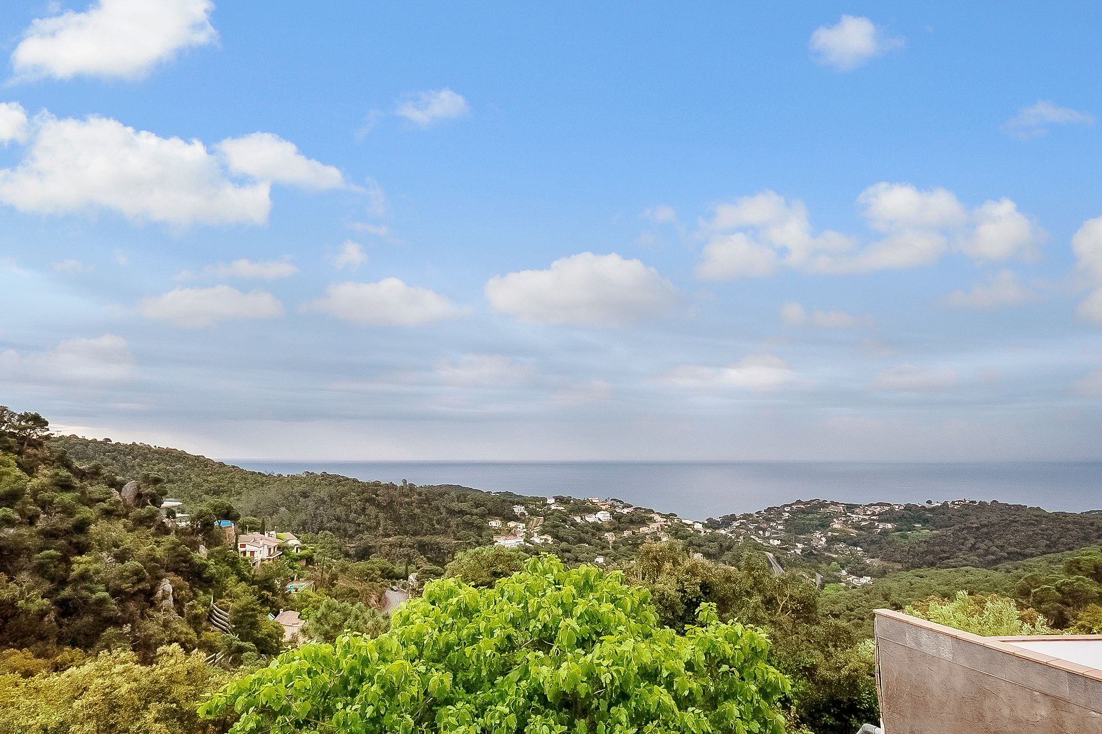 Foto 147 van Avinguda dels Arbres 13