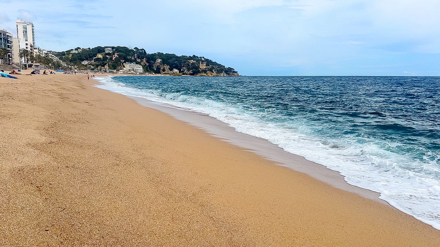 Foto 149 van Avinguda dels Arbres 13