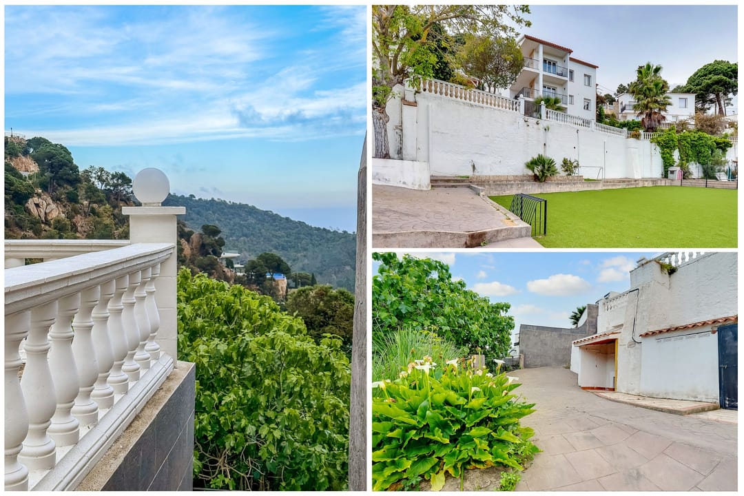 Foto 131 van Avinguda dels Arbres 13