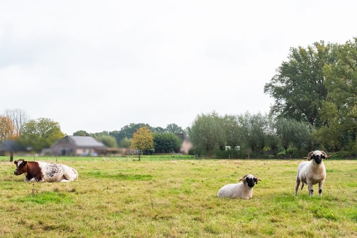 Photo 48 of Pausendijk 1