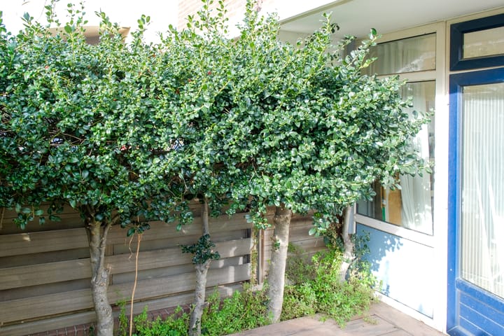 Foto 14 van 2e Messstraat 10