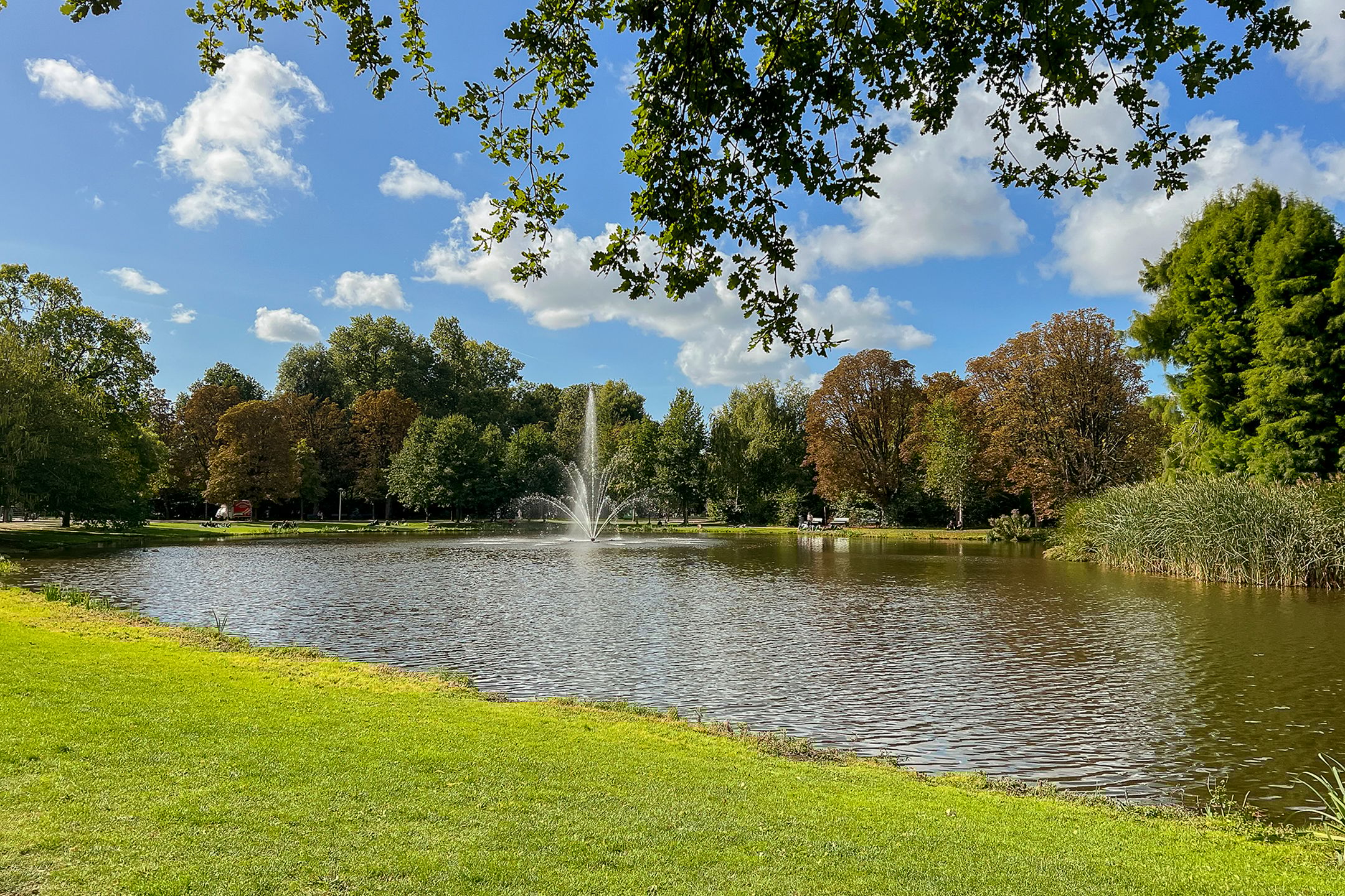 Foto 18 van Overtoom 310-3