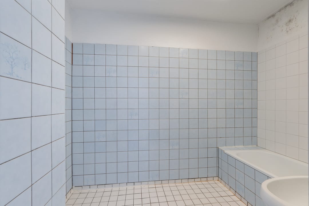 Foto 16 van Russischestraat 90-B01