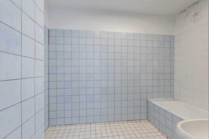 Foto 16 van Russischestraat 90-B01