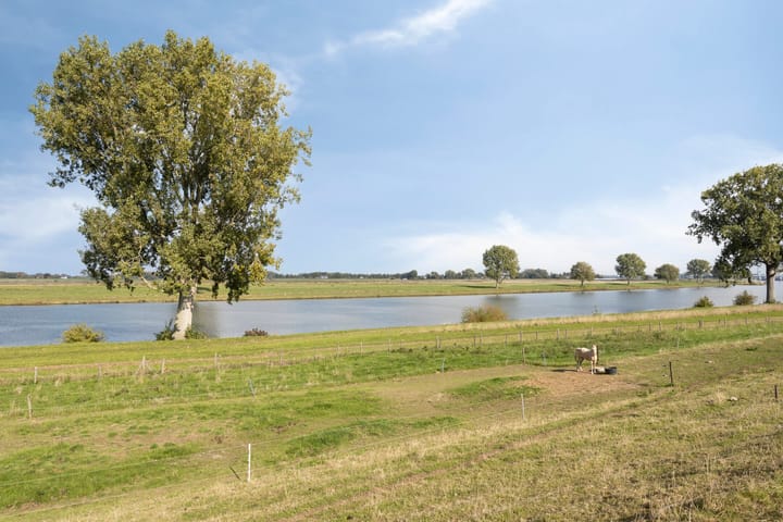 Foto 46 van Zomerstraat 13