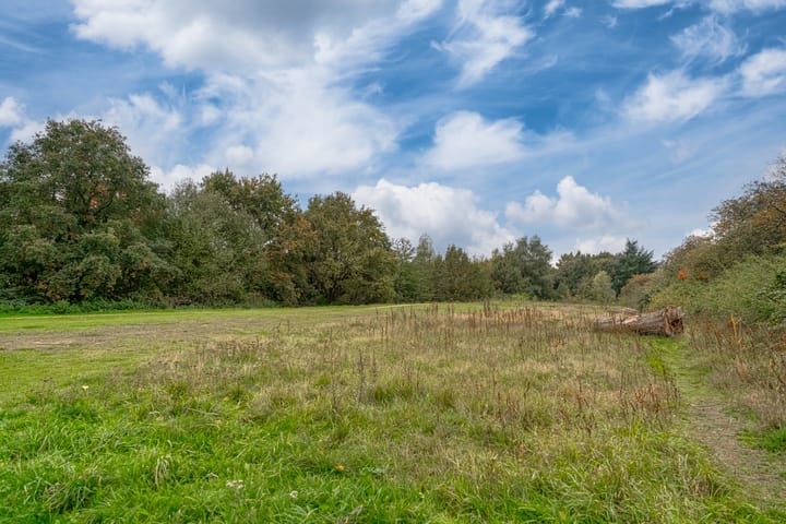 Foto 41 van De Haspel 9