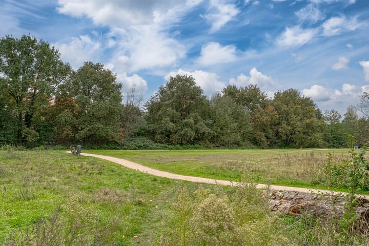 Foto 43 van De Haspel 9