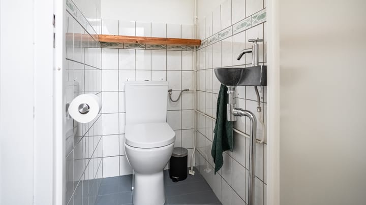 Foto 10 van De Eese 32