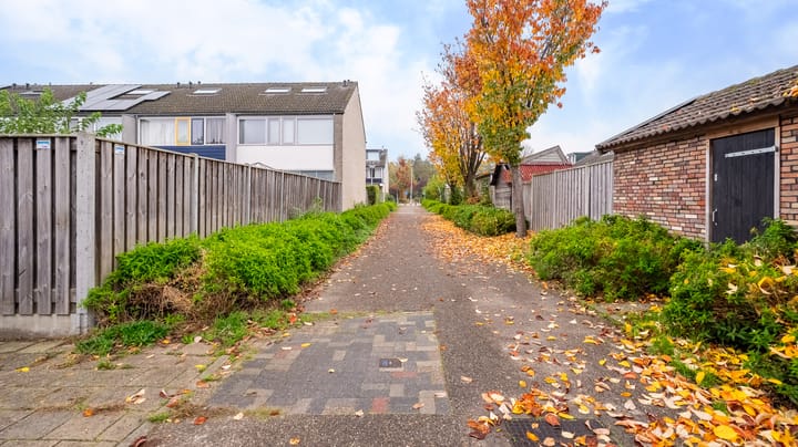 Foto 33 van De Eese 32