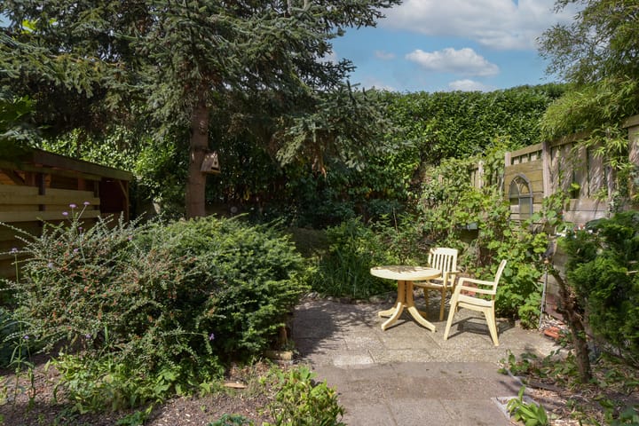 Photo 4 of Meerkoet 55