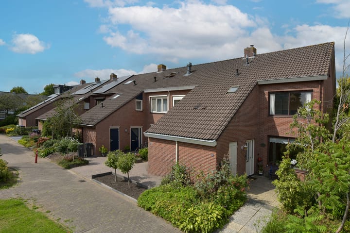 Photo 6 of Meerkoet 55