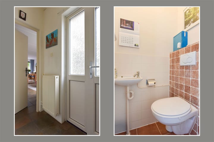 Photo 9 of Meerkoet 55