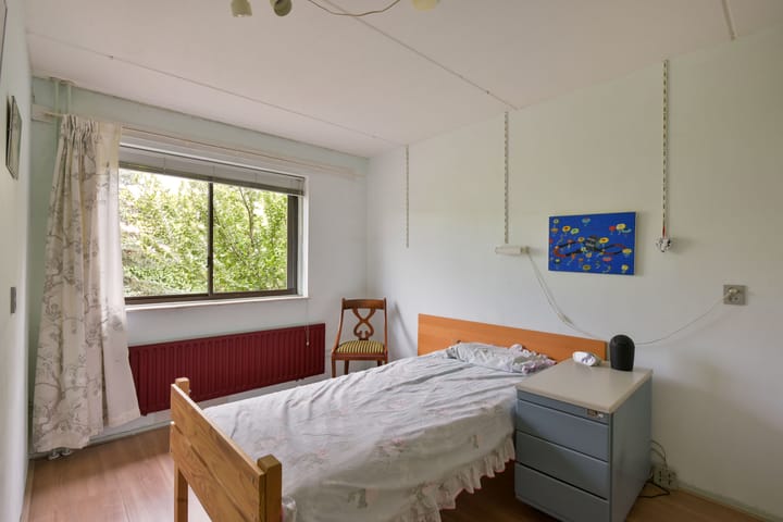 Photo 15 of Meerkoet 55