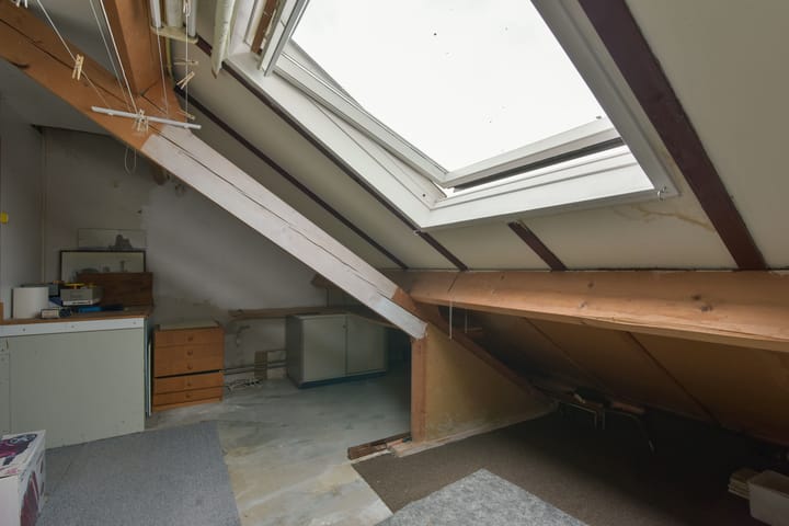 Photo 20 of Meerkoet 55