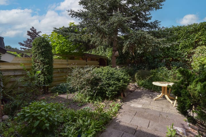 Photo 23 of Meerkoet 55