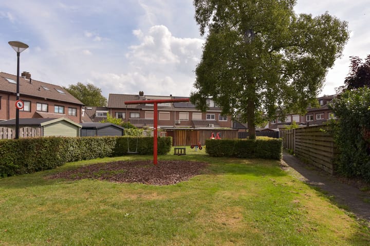 Photo 24 of Meerkoet 55