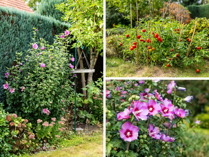 Foto 33 van Zutphenseweg 10-A