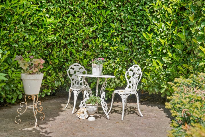 Foto 22 van Het eenspan 12