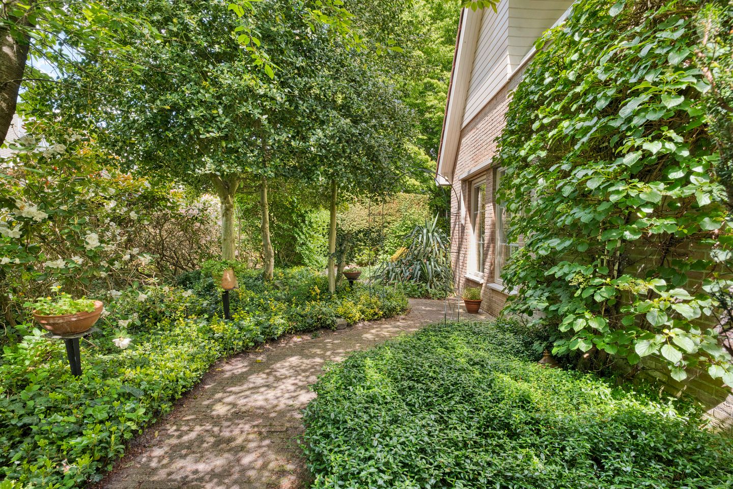 Foto 25 van Het eenspan 12