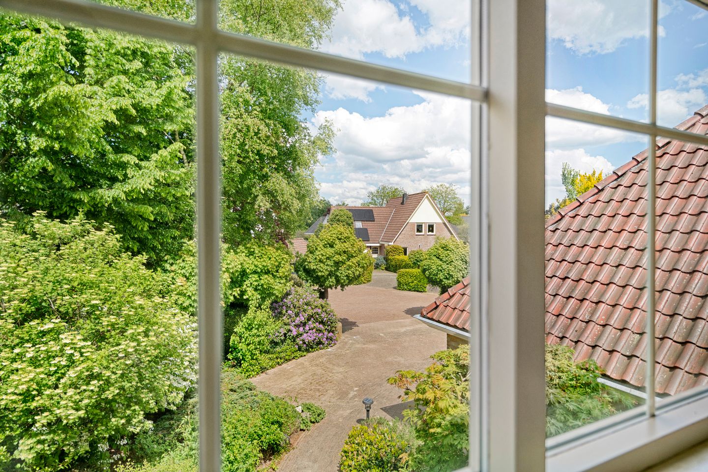 Foto 50 van Het eenspan 12