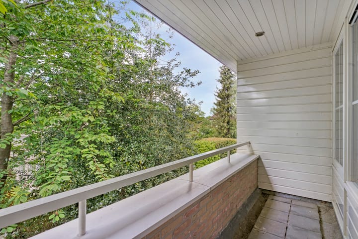 Foto 55 van Het eenspan 12