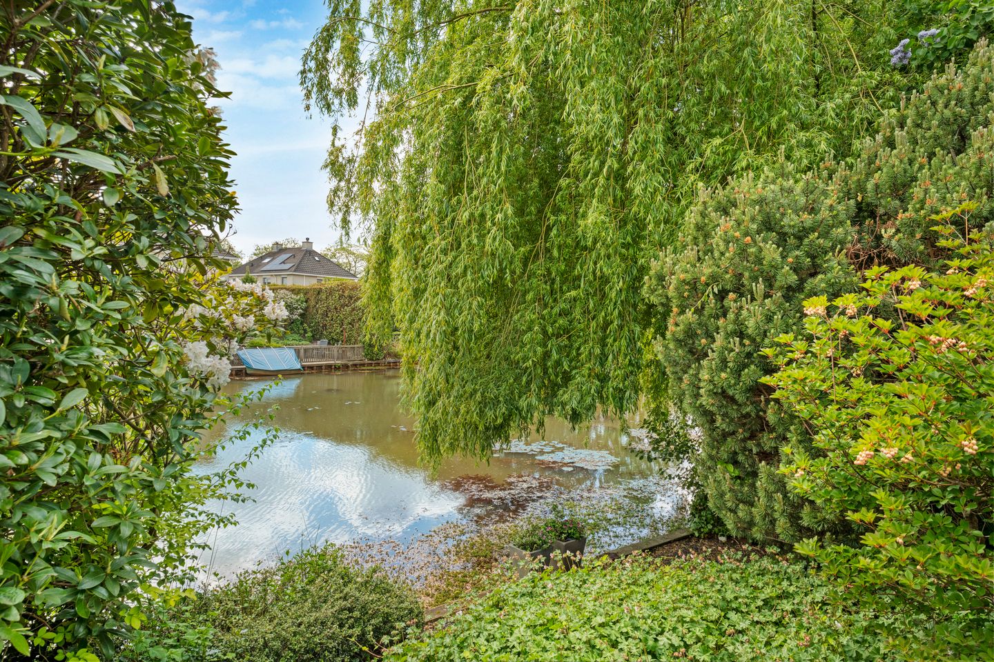 Foto 79 van Het eenspan 12