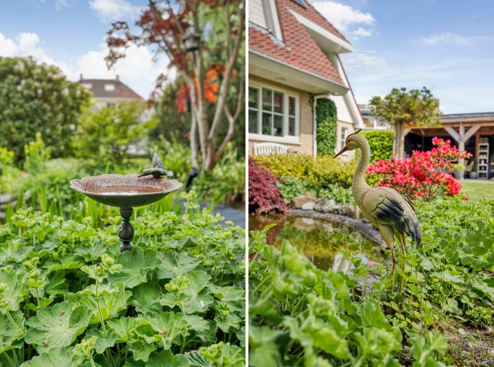 Foto 88 van Het eenspan 12