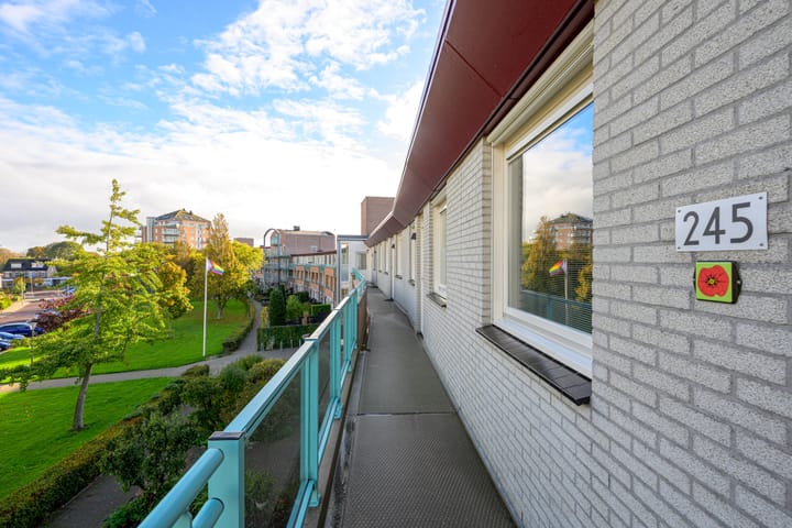 Foto 9 van Waterborg 245